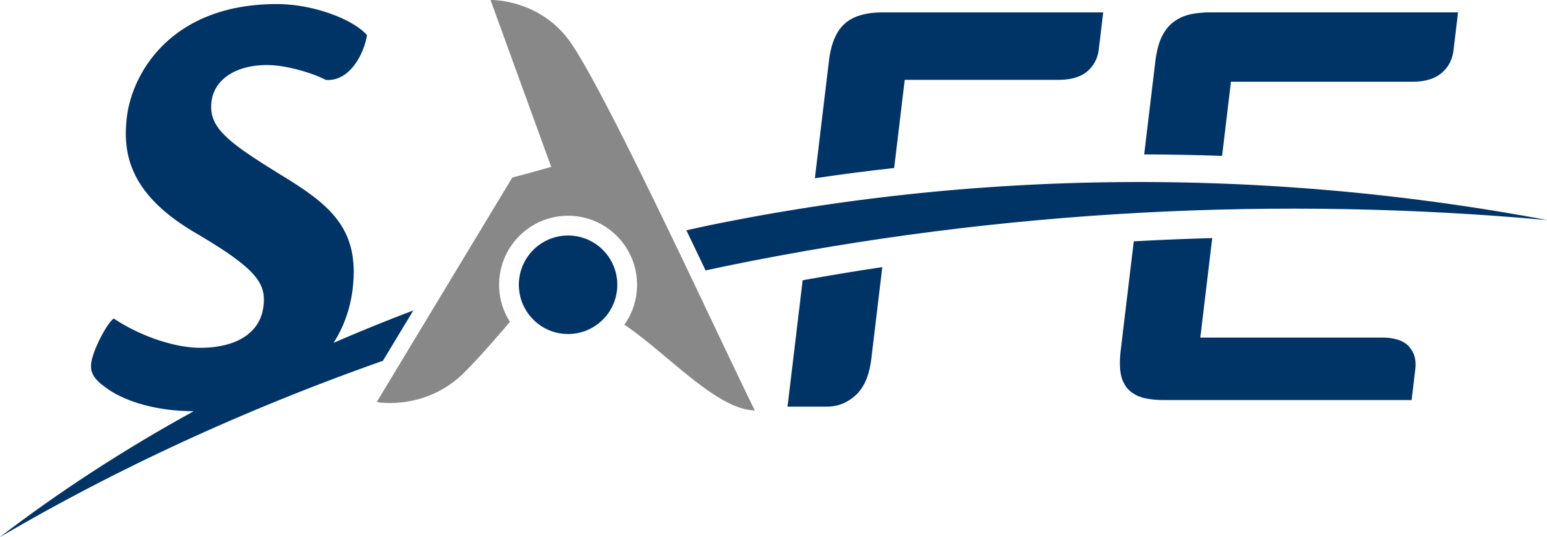 Logo-BICOLORE-SAFE