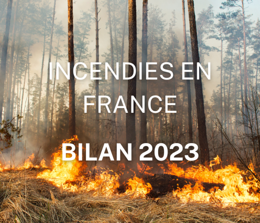 FEUX DE FORET FRANCE BILAN 2023 QUEL EST LE NOMBRE D'INCENDIES EN FRANCE STME FIRE 06 PROVENCE ALPES COTE D'AZUR FRANCE