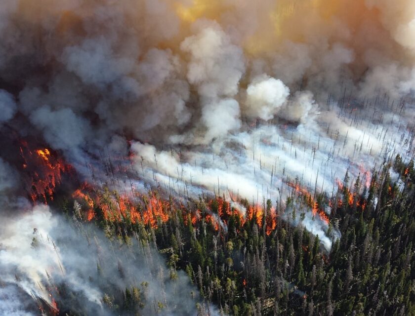 incendie-foret-source-emissions-co2