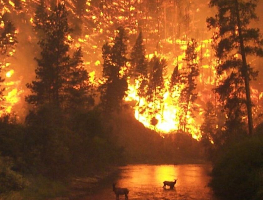 stme-fire-megafeux-actualites