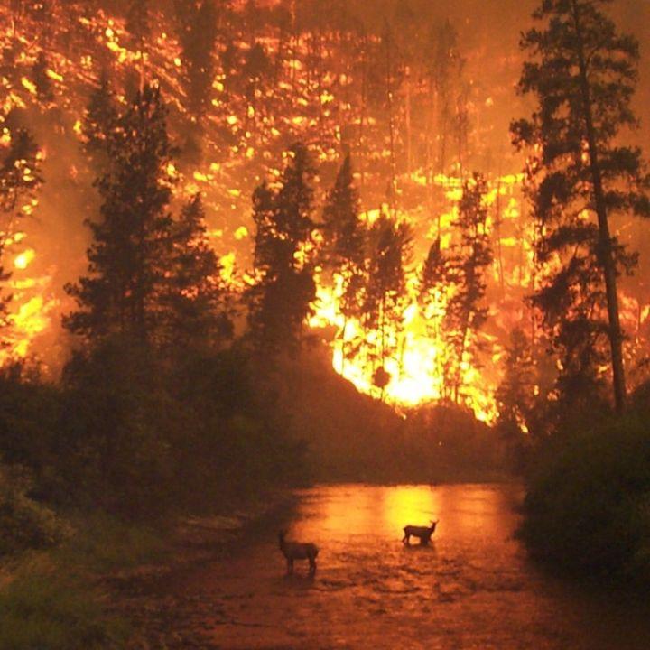 stme-fire-megafeux-actualites